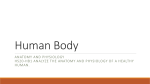 Human Body - Logan Petlak