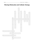 Moving Molecules and Cellular Energy Crossword