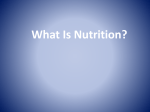 SMED 10 Nutrition PowerPoint