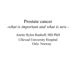 Prostate cancer -what is important and what is new -