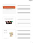 Structure and Function of the Wrist Anatomical Terms: Wrist/Hand