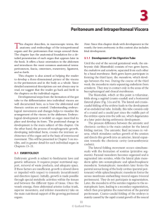 Peritoneum and Intraperitoneal Viscera
