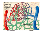 Lymphatic system Lymphatic system
