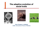 The adaptive evolution of social traits