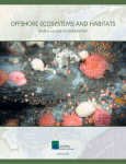 Offshore Ecosystems and Habitats
