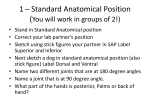 1 * Standard Anatomical Position