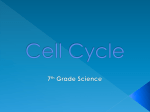 Cell Cycle Power Point
