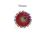 Viruses