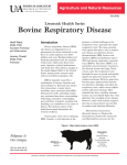 Bovine Respiratory Disease - University of Arkansas Division of