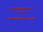 Recombinant DNA Technology PLASMID VECTORS