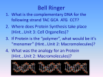 RNA and Protein Synthesis