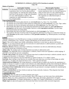 NUTRITION IN ANIMALS AND PLANTS