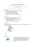 Keystone Quia Quiz—Cell Physiology Unit Question Source and