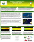 Influence of the Saharan Air Layer on Tropical