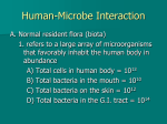 Human Microbe Interaction PowerPoints