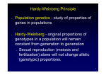 Hardy-Weinberg Principle • Population genetics