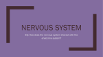 Nervous system