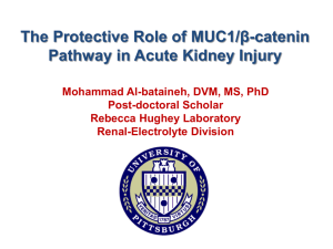 MUC1 in the kidney - University of Pittsburgh