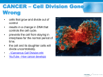 CANCER – Cell Division Gone Wrong