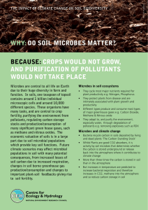 WHY:do soil microbes matter? becaUse:crops WoUld not groW, and