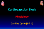 4. and 5. Cardiac Cycle I _ II - 2016