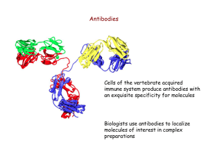 antibodies