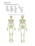 Bone Packet - Dr. Gerry Cronin