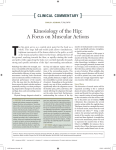 Kinesiology of the Hip: A Focus on Muscular Actions