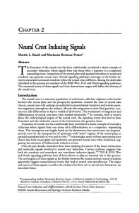 Neural Crest Inducing Signals