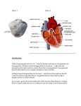 Figure 1 Figure 2 Introduction: Before beginning this activity, let`s