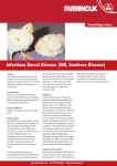 Infectious Bursal Disease (IBD, Gumboro Disease)