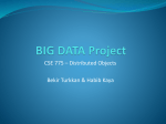 BIG DATA Project
