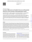 Laminar Differences in Dendritic Structure of Pyramidal Neurons in