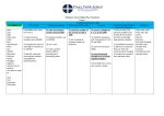 Medium Term Maths Plan (Topic)