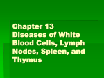 Chapter 13 Diseases of White Blood Cells, Lymph Nodes, Spleen