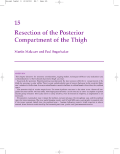 15 Resection of the Posterior Compartment of the Thigh