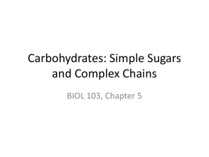BIOL 103 Ch 5 Carbohydrates for Students F15