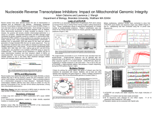 Nucleoside Reverse Transcriptase Inhibitors