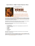 Equine Influenza: A Highly Contagious Respiratory Disease