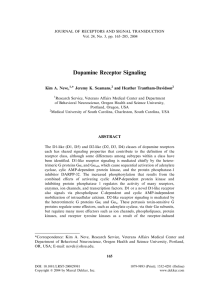 Dopamine Receptor Signaling