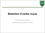 Metabolism of cardiac muscles