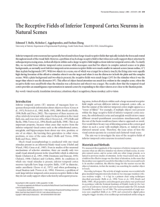 The Receptive Fields of Inferior Temporal Cortex Neurons in Natural