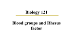 The Blood Group Systems - KCPE-KCSE