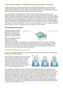 Protein Sorting and Transport - The Endoplasmic Reticulum, Golgi