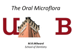 The Oral Microflora