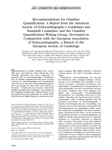 Recommendations for Chamber Quantification: A Report from the