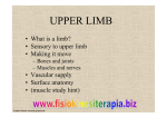 upper limb - Fisiokinesiterapia