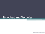 Tonoplast and Vacuoles