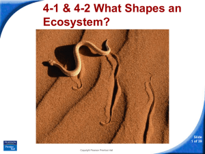 Ecology 4.1, 4.2, 5.1 Slides