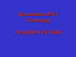 Recombinant DNA Technology PLASMID VECTORS